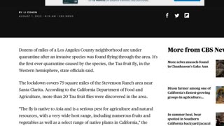 A NEW QUARANTINE - FOR FRUIT FLIES IN A 79 SQ MILE AREA OF LOS ANGELES