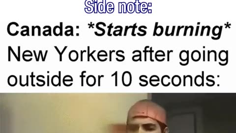 Canada's Wildfires Hitting New York 🔥🌳🔥