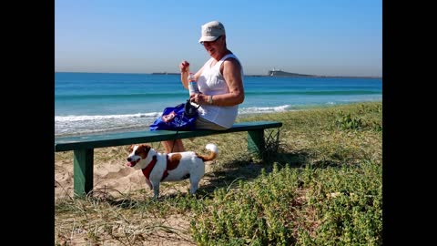 Palm Lake Resort, Fern Bay NSW Australia