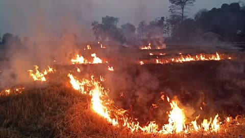 Fire in the field