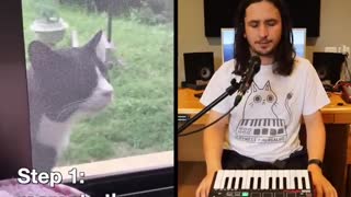 How to make a song with your neighbour's cat (Let Me In)