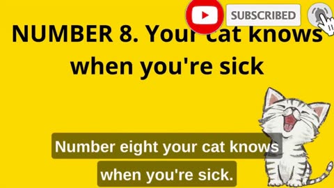 "12 Surprising Secrets Your Cat Knows About You: Unveiling Feline Insights"