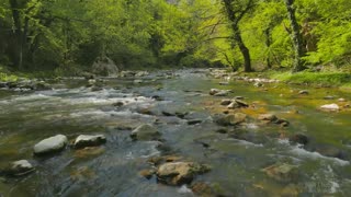 Relaxing River Water Stream Sounds For Sleep And Relaxing