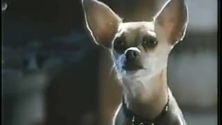 1999 - Taco Bell Dog Croons for Mexican Pizza