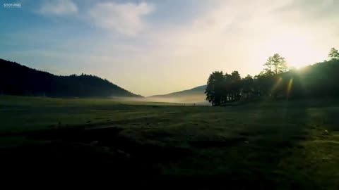 Guitar Music Sunny Mornings by Peder B