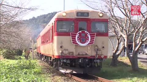 Diesel train east of Tokyo to retire
