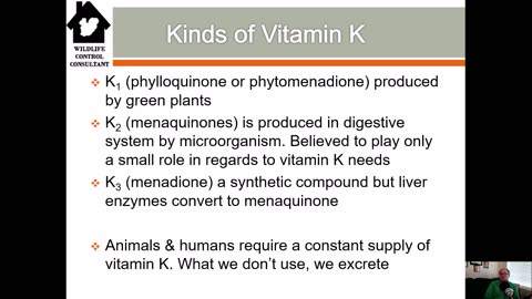 Vitamin K1 Rich Foods and Chlorophacinone Anticoagulant Rodenticides