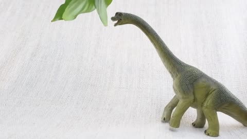 Small Dino