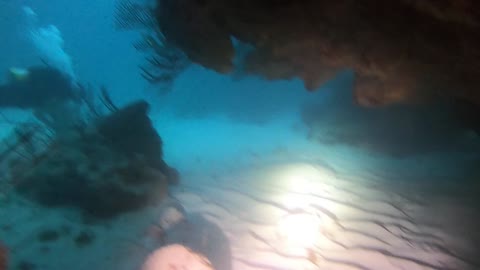 Dive off Spital Pond in Bermuda