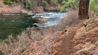 Exploring a Beautiful River – Metolius River – Central Oregon