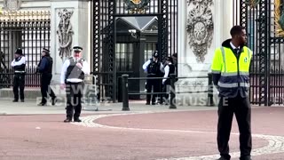 Man arrested outside Buckingham Palace