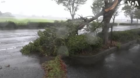 Heavy Rain and Wind as Typhoon Nanmadol Hits Japan