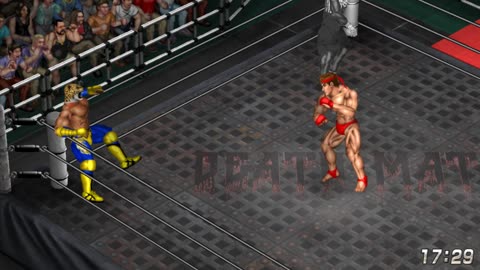 FPWW - Male Fighting