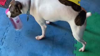 Princess plays with tennis ball container