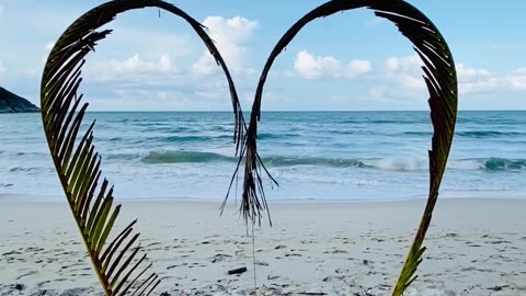 A heart shaped made from palm leaves for photo shots back ground
