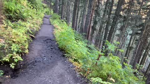 Oregon – Mount Hood – Trickling Vertical Creek