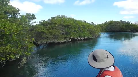 Exploring the mangrove inlet with stunning views along the way