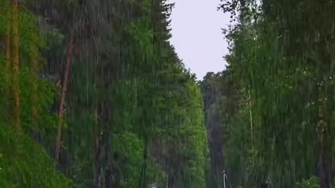 The Sound of rain throughout the day