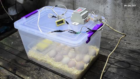 How to make Incubator for chicken eggs using this plastic box