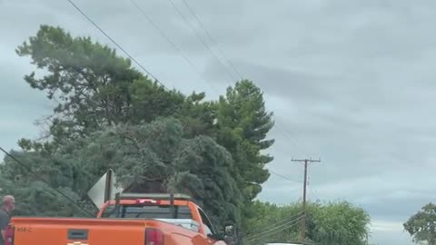 Major wind damage in Cherry Valley, CA, with trees down knocking over power lines