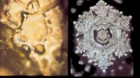 Masaru Emoto - Water Experiments