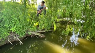 Large Fish Pulls Man into the Water