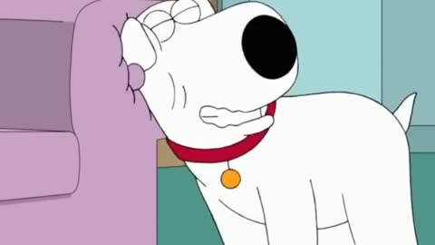 Brian The Cat #familyguy