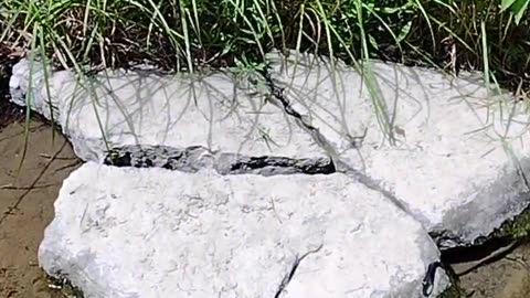 Strange Creekbed Remnants of Rock Cuttings Upstate NY, Agenda 2030,