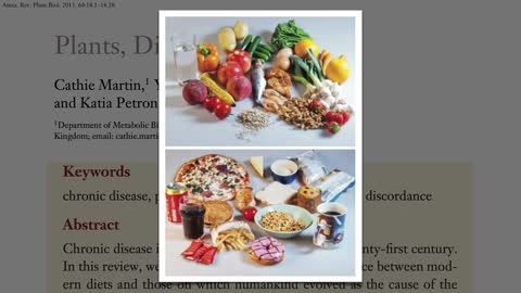 Paleo Diet Studies and Benefits