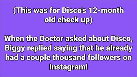 What happened to Disco at the Hospital❓😳 (The Norris Nuts)