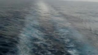 Cruising The Ocean