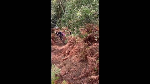 Lurking Tree Leaves Man Sore