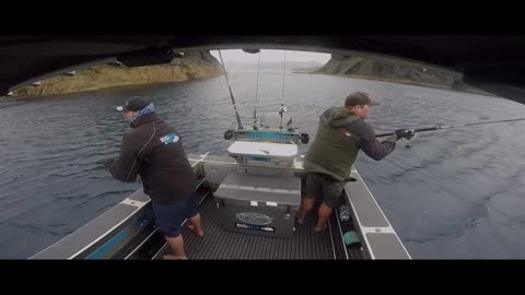 Biggest New Zealand Kingfish 2017/2018 NZ Fishing Competition