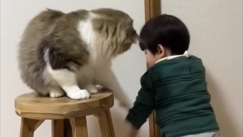 CAt blocks little boy door opening