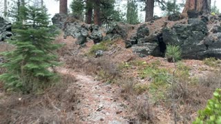 Forest & Volcanic Exploration in the Beautiful Snow – Central Oregon – Edison Sno-Park – 4K