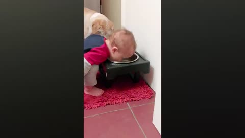 Compilation of Cute Babies Playing With Dogs