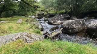 River in Dartmoor. GoPro
