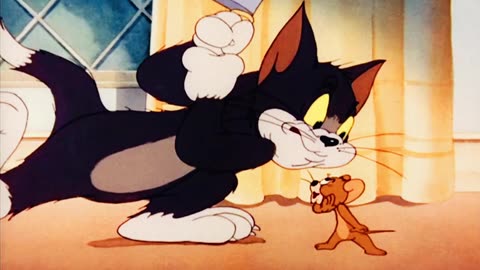 TOM AND JERRY |TOM AND JERRY FIGHT SCENE |TOM AND JERRY WITH BIRD |FUNNY |CARTOON |ANIMATION