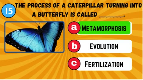 GK Questions And Answers in English | GK Questions For Kids | GK Quiz | GK Questions for Class 1