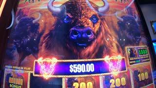 Buffalo Cash Slot Machine Long Play Session Free Games Bonuses Jackpots!