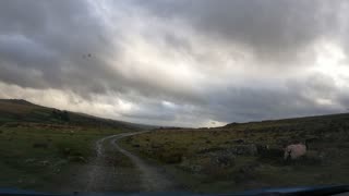 Driving on a farmland road Dartmoor. GoPro. March 2023