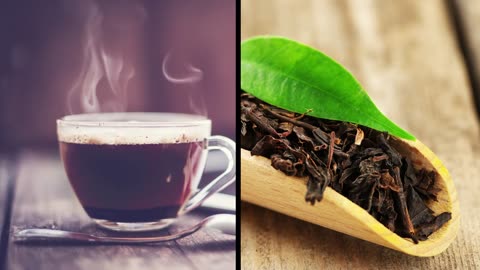 Coffee vs Tea which is best