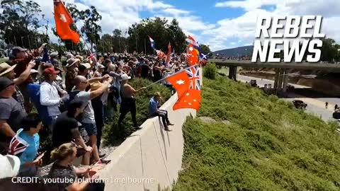 INCREDIBLE SCENES AS AUSSIES UNITE OUTSIDE PARLIAMENT HOUSE IN CANBERRA PART 4