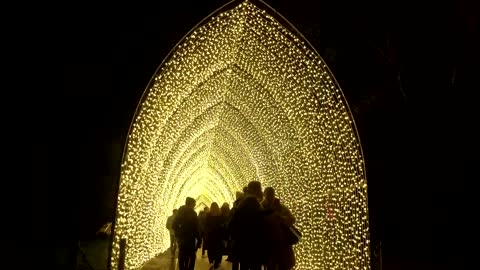 'Christmas at Kew' twinkles with over 1 million lights