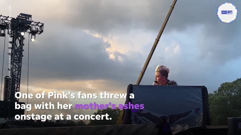 Concertgoers injure performers onstage with thrown objects