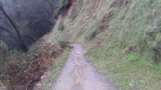 Hiking American River rain