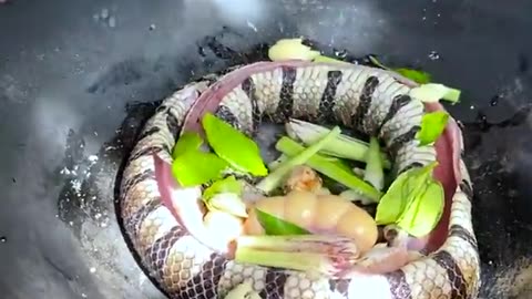 COOK SNAKE WITH WATERMELON