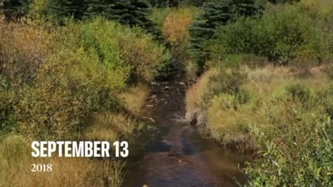 Staunton State Park in Colorado!