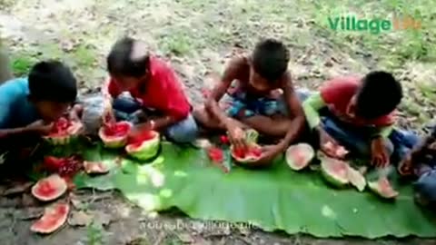 The challenge of eating watermelon with a fist