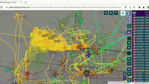 Bird Nazipac Transpac Skywest - Gorilla Warfare March 8th 2024